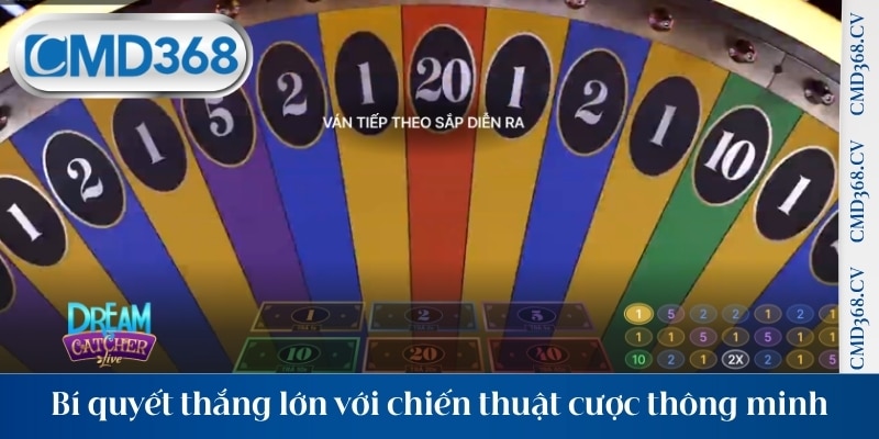 Bí quyết thắng lớn với chiến thuật cược thông minh