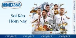 Soi kèo hôm nay
