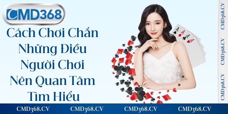Cách Chơi Chắn - Những Điều Người Chơi Nên Quan Tâm Tìm Hiểu