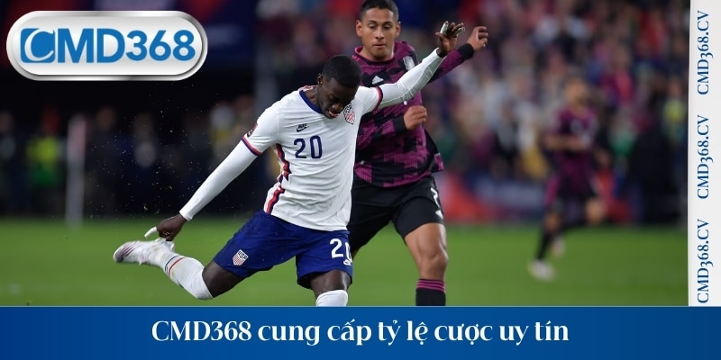 CMD368 cung cấp tỷ lệ cược uy tín