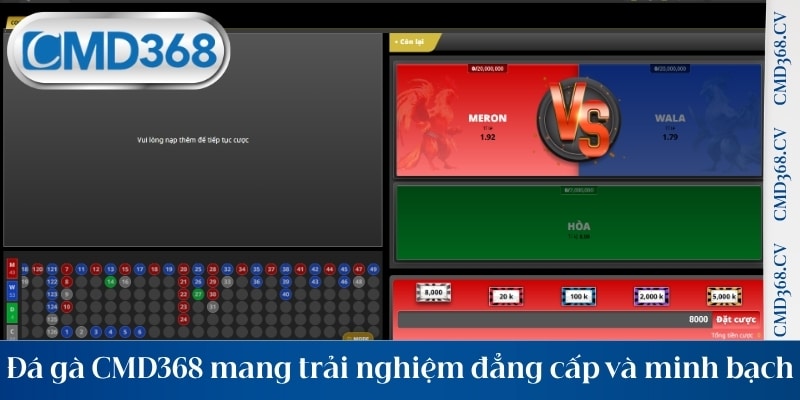 Đá gà CMD368 mang trải nghiệm đẳng cấp và minh bạch