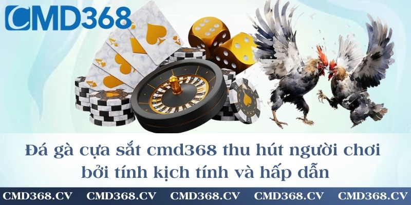 Đá gà cựa sắt cmd368 thu hút người chơi bởi tính kịch tính và hấp dẫn