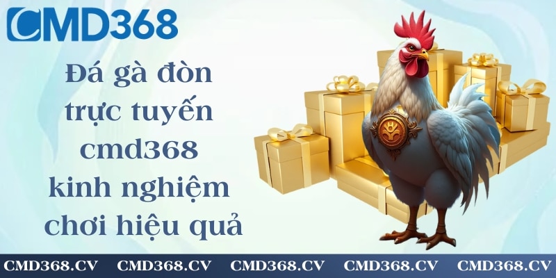 Đá gà đòn trực tuyến cmd368 - kinh nghiệm chơi hiệu quả