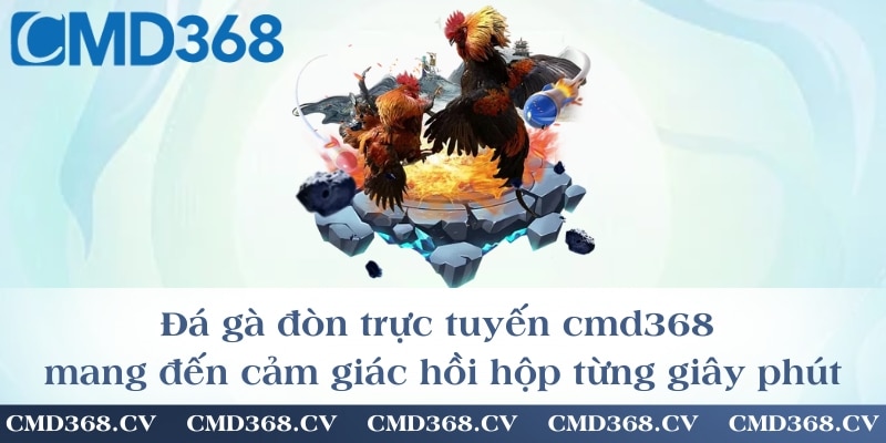 Đá gà đòn trực tuyến cmd368 mang đến cảm giác hồi hộp từng giây phút