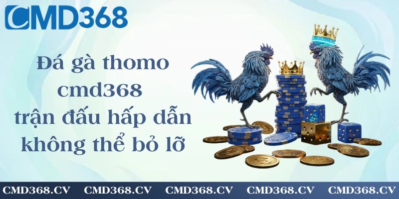 Đá gà thomo cmd368 - trận đấu hấp dẫn không thể bỏ lỡ