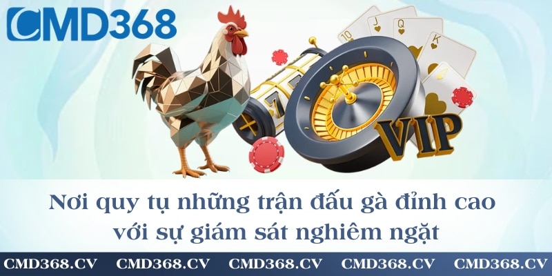 Nơi quy tụ những trận đấu gà đỉnh cao với sự giám sát nghiêm ngặt