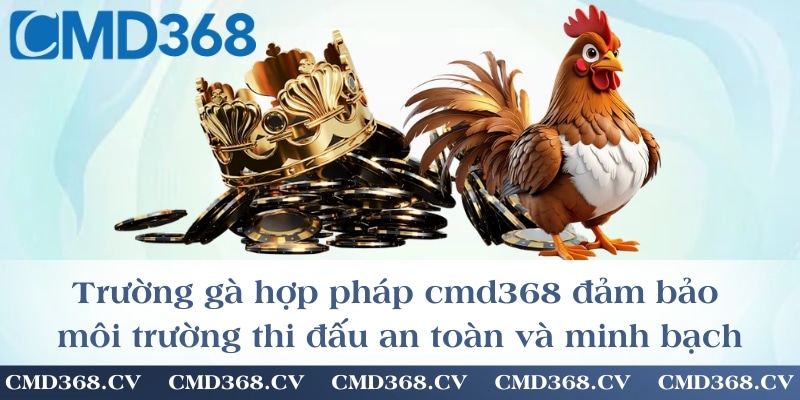 Trường gà hợp pháp cmd368 đảm bảo môi trường thi đấu an toàn và minh bạch