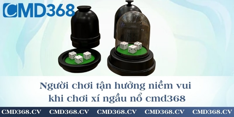 Người chơi tận hưởng niềm vui khi chơi xí ngầu nổ cmd368