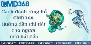 Cách đánh rồng hổ CMD368 - Hướng dẫn chi tiết cho người mới bắt đầu