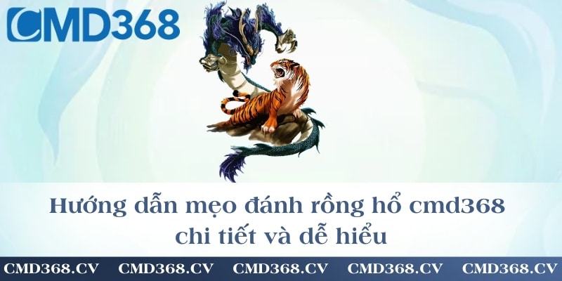 Hướng dẫn mẹo đánh rồng hổ cmd368 chi tiết và dễ hiểu