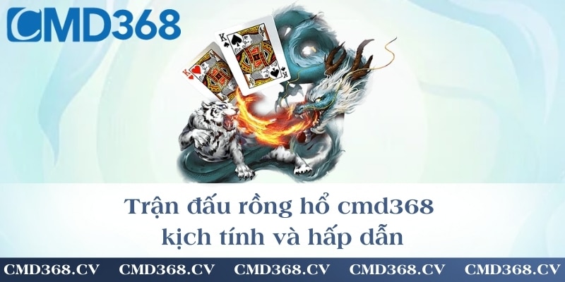 Trận đấu rồng hổ cmd368 kịch tính và hấp dẫn