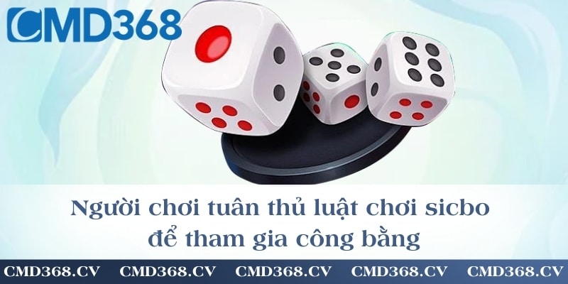 Người chơi tuân thủ luật chơi sicbo để tham gia công bằng